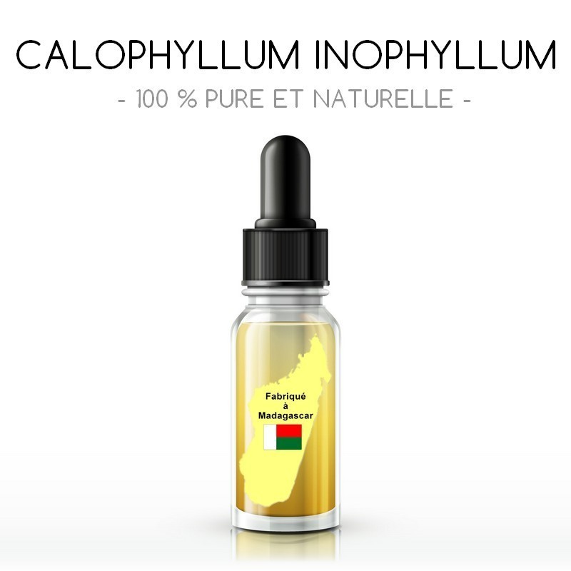 Huile de calophyllum inophyllum