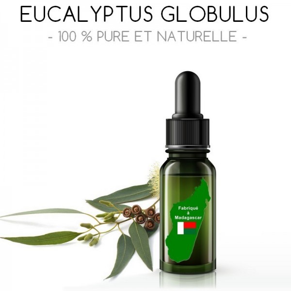 Huile essentielle d'Eucalyptus globulus : quels sont ses bienfaits